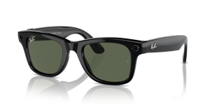 Meta Wayfarer