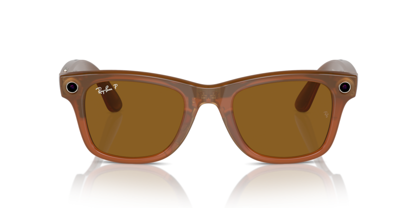 Meta Wayfarer - Polarized